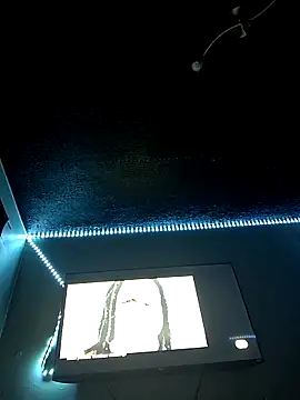 Snapshot of Painstickwes chatting on 02.05.26 Painstickwes online show from 02.05.26