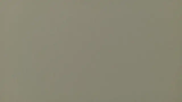 Nallah  online show from 03.24.26