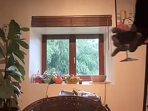 Snapshot of chtentation chatting on 02.14.26 chtentation online show from 02.14.26