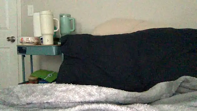 Snapshot of Fa11ings1ow1y chatting on 01.15.26 Fa11ings1ow1y online show from 01.15.26