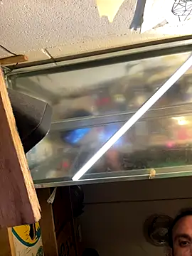 spino24 online show from 09.28.25