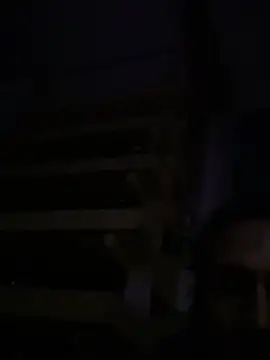 spino24 online show from 04.04.26