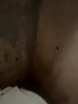 favelado33 online show from 09.26.25