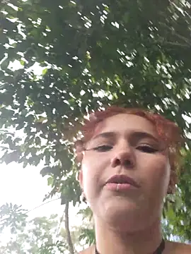  TOMOE online show from 11.29.25