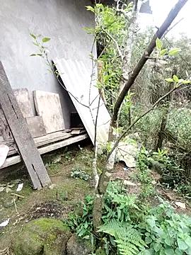 Snapshot of zhen-zo chatting on 03.19.26 zhen-zo online show from 03.19.26