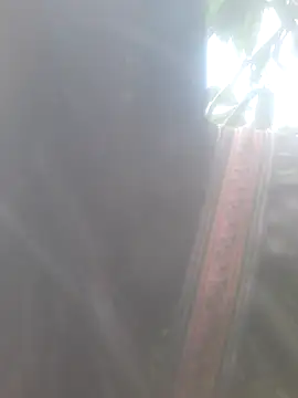 bree-zz online show from 11.10.25