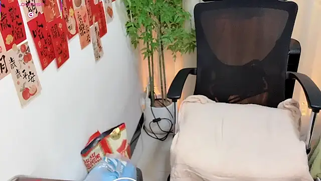 NEWONETO online show from 03.08.26