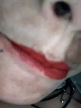 Na shreya online show from 02.01.26