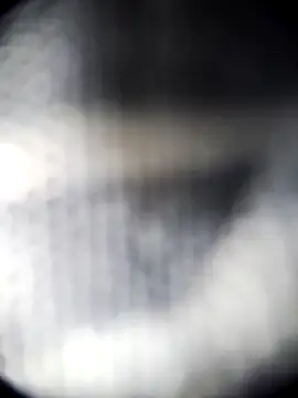 Blanquitakchera online show from 12.21.25