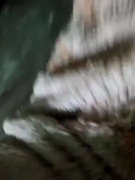 sam salman online show from 02.01.26