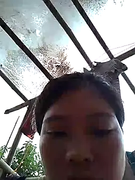 Sus4728 online show from 10.10.25