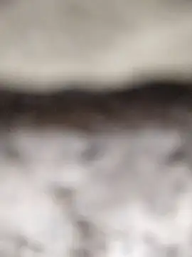 PEEHU-50 online show from 03.12.26