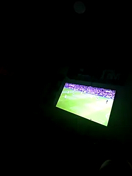 Snapshot of PaMPInO_20 chatting on 10.19.25 PaMPInO 20 online show from 10.19.25