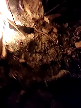 Sikici0734 online show from 10.06.25