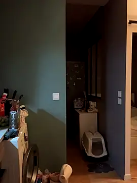 bebecita x online show from 11.14.25