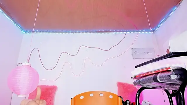 Snapshot of shannon_kinne_ chatting on 12.13.25 shannon kinne online show from 12.13.25