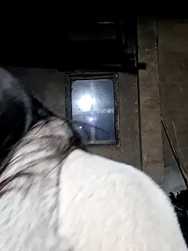 miomio-12 online show from 02.27.26