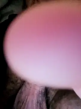 Saif b11b online show from 02.10.26