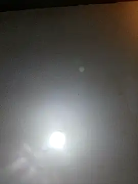 T1T012 online show from 02.13.26