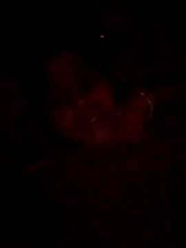 Snapshot of Tg_sonam chatting on 10.23.25 Tg sonam online show from 10.23.25