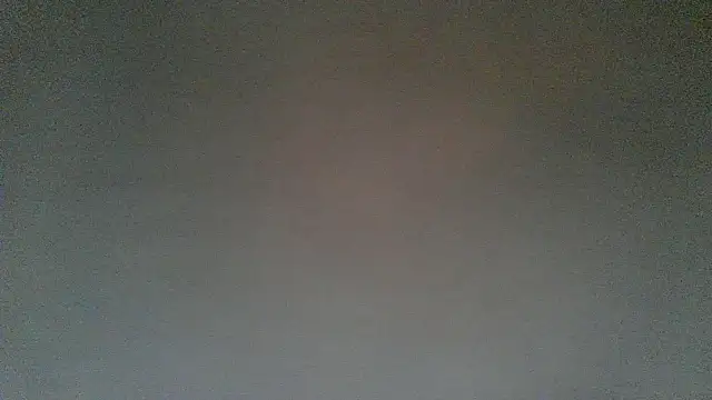 MolleDolle online show from 12.02.25