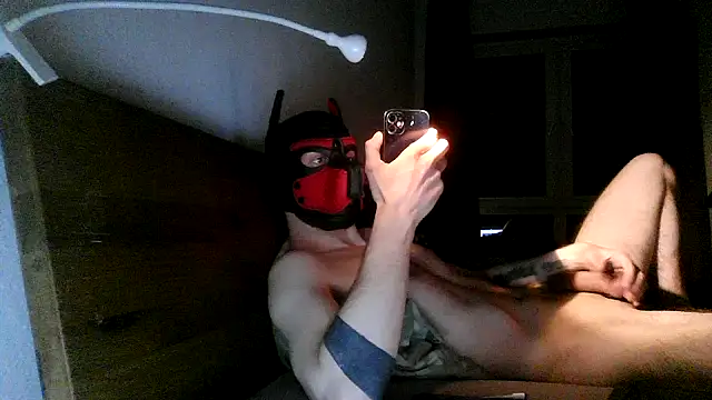 MolleDolle online show from 12.02.25