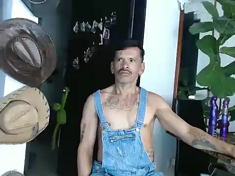 sweet day19 online show from 03.02.26