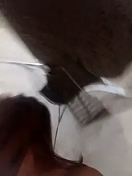 Rabbit-small online show from 12.19.25