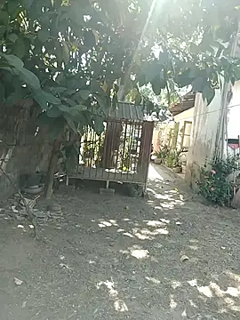 SL BEAR online show from 03.26.26