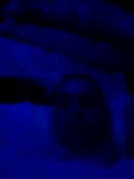 sexdol2 online show from 03.22.26