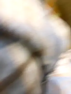  xiaoniaojiang online show from 10.15.25