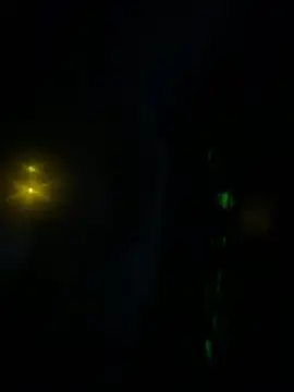 Butterfly8385 online show from 01.06.26