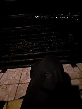 SamoSkupo online show from 10.29.25