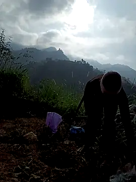 nat-tri online show from 12.19.25