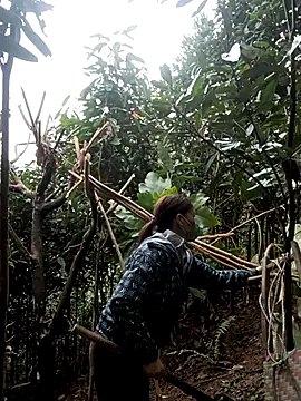 nat-tri online show from 01.07.26