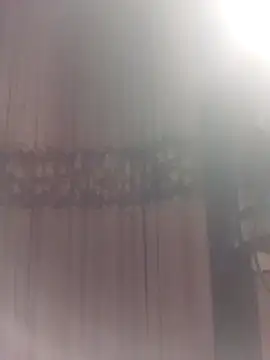 YiyinLy online show from 03.29.26