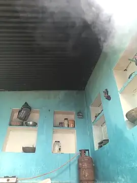 Ragni bhargav online show from 12.01.25