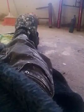 Orlao25cm online show from 11.08.25