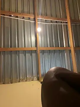 solodrive online show from 02.24.26