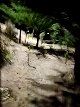 Labellasex online show from 12.18.25