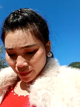 Bear bear0 online show from 11.29.25