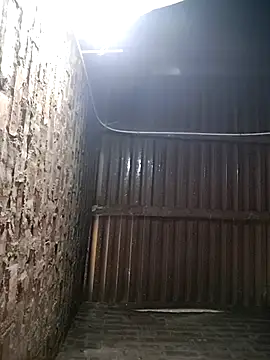 Bear bear0 online show from 01.12.26