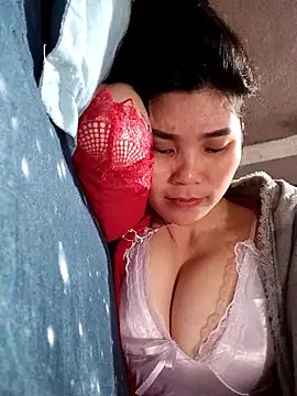 Bear bear0 online show from 03.09.26