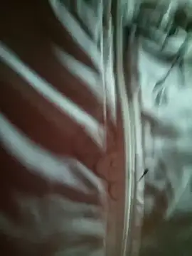 sowbibi online show from 02.28.26