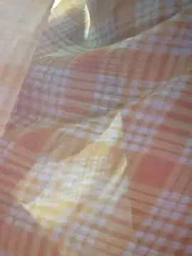 Snapshot of Ankitahot1993 chatting on 01.31.26 Ankitahot1993 online show from 01.31.26