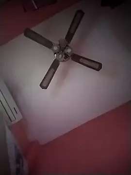 Danii2005 online show from 11.06.25