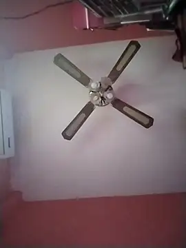 Danii2005 online show from 12.17.25