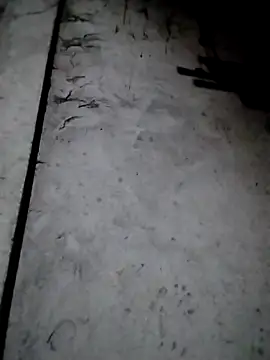 rickkis2k online show from 12.13.25