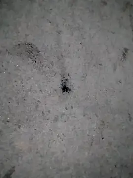 rickkis2k online show from 12.21.25