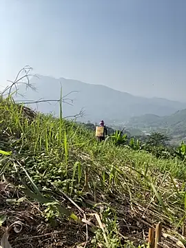 Irin jo online show from 11.23.25